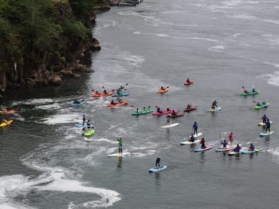 summer camp kids paddle boarding on the Willamette River