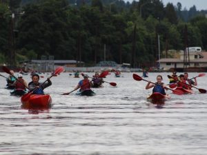 IMG_8043 IMG_8043
